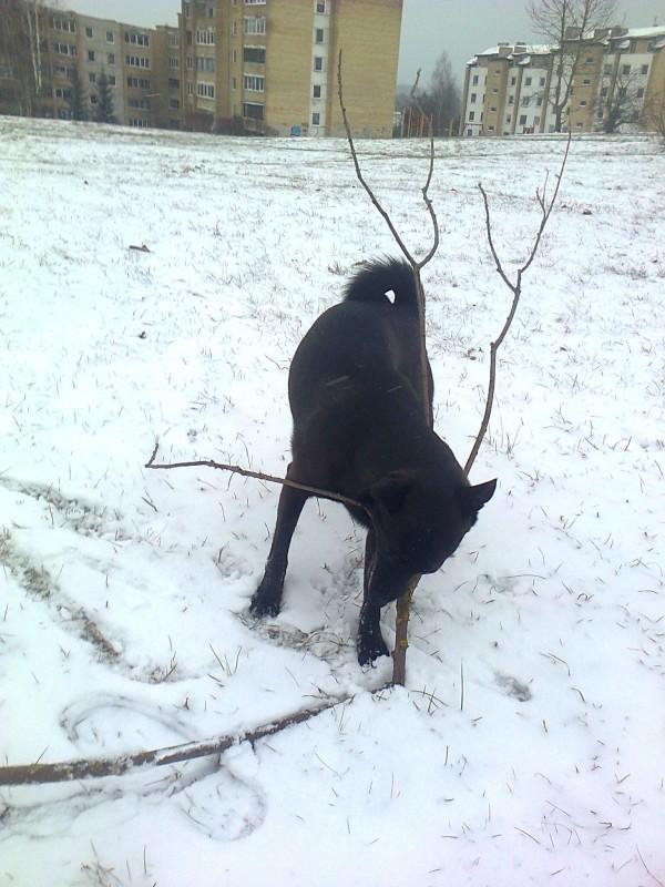 Alma uploaded   86  day/s  ago