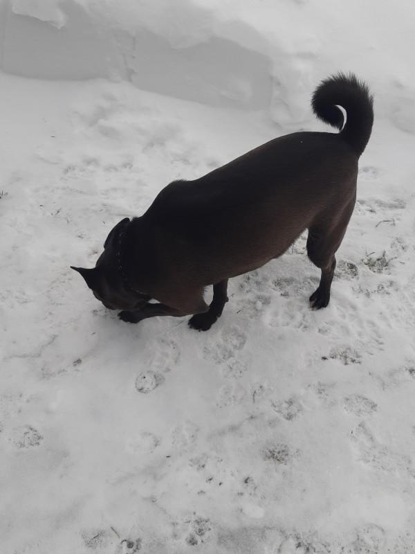 Alma uploaded   86  day/s  ago