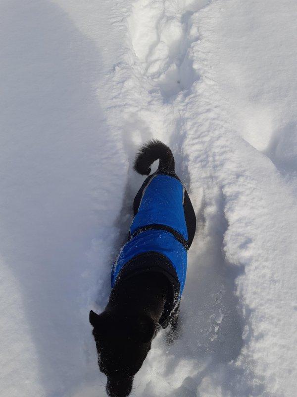 Alma uploaded   86  day/s  ago