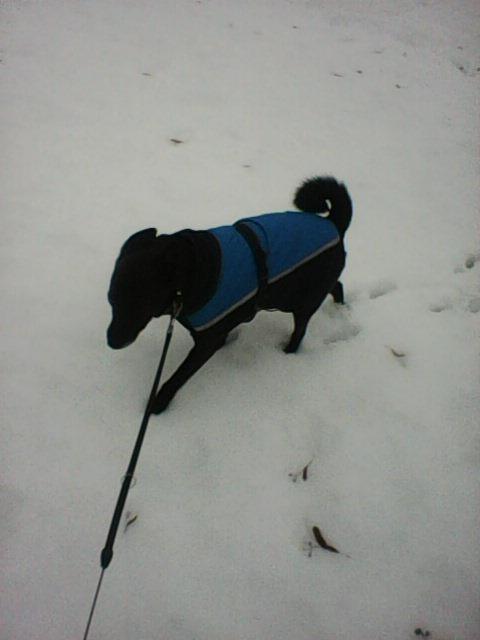 Alma uploaded   86  day/s  ago