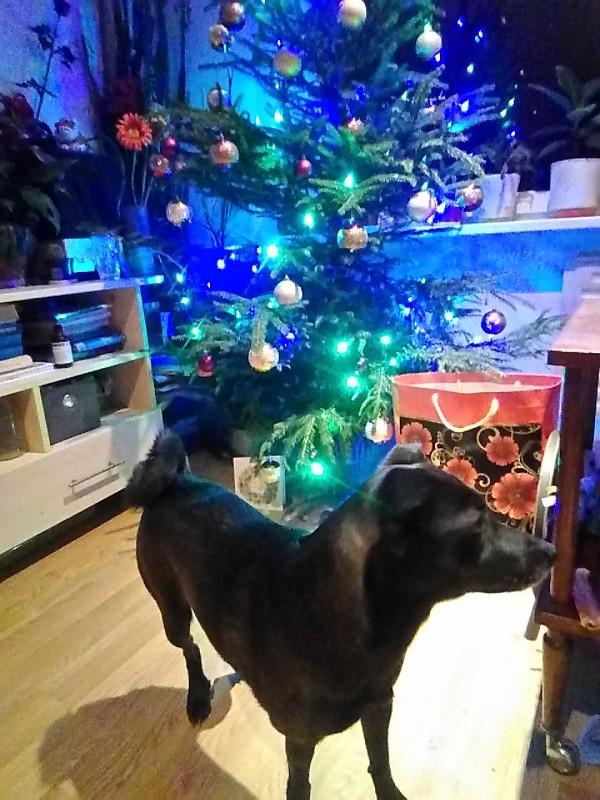 Alma uploaded   86  day/s  ago