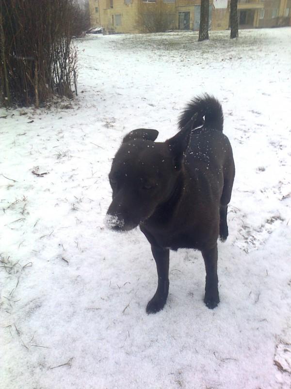 Alma uploaded   86  day/s  ago