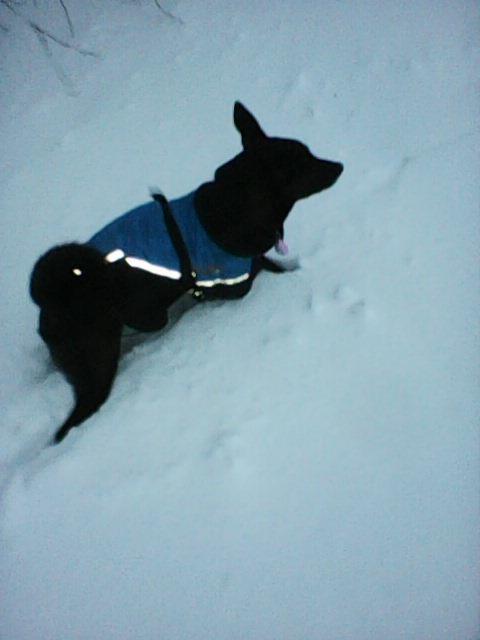 Alma uploaded   86  day/s  ago