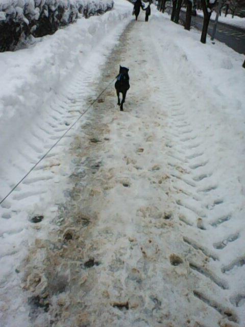 Alma uploaded   86  day/s  ago