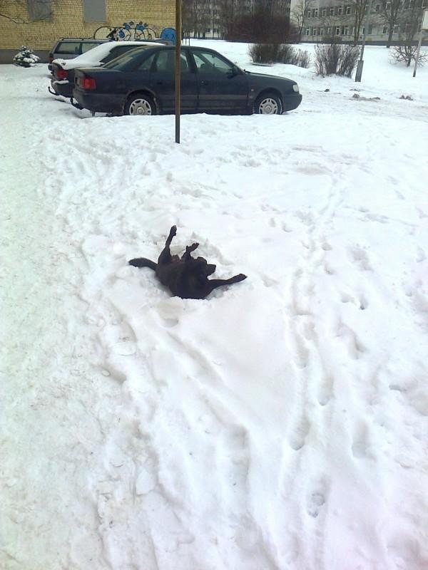 Alma uploaded   86  day/s  ago