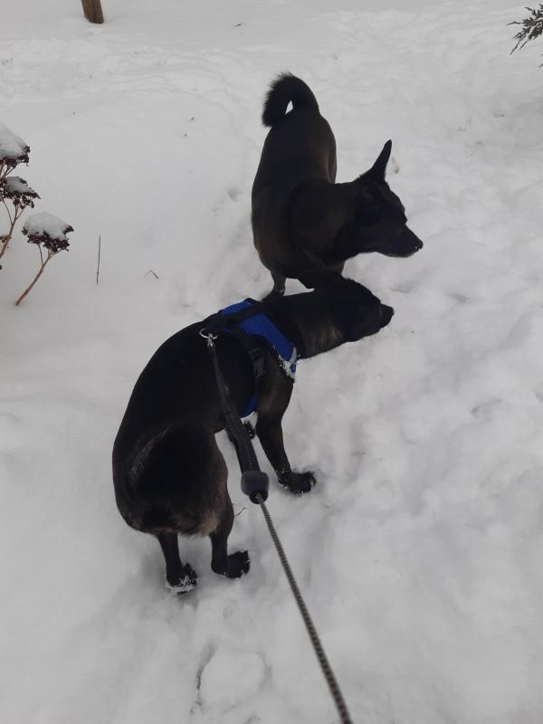 Alma uploaded   86  day/s  ago