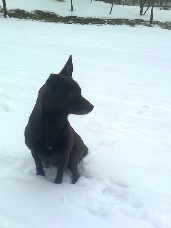 Alma uploaded   86  day/s  ago