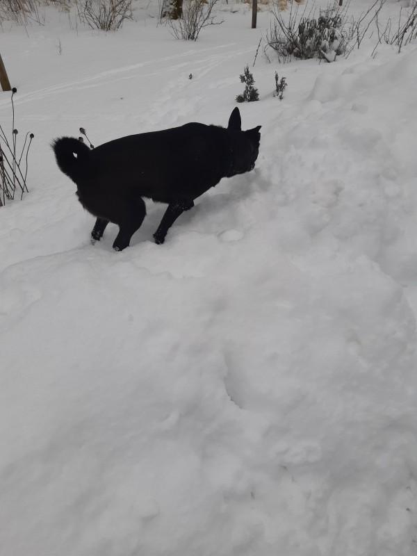 Alma uploaded   86  day/s  ago