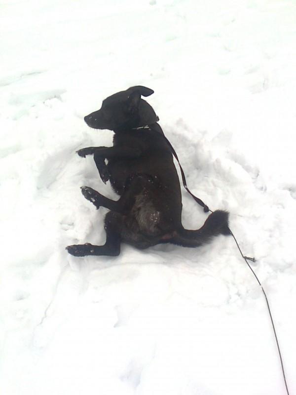 Alma uploaded   86  day/s  ago