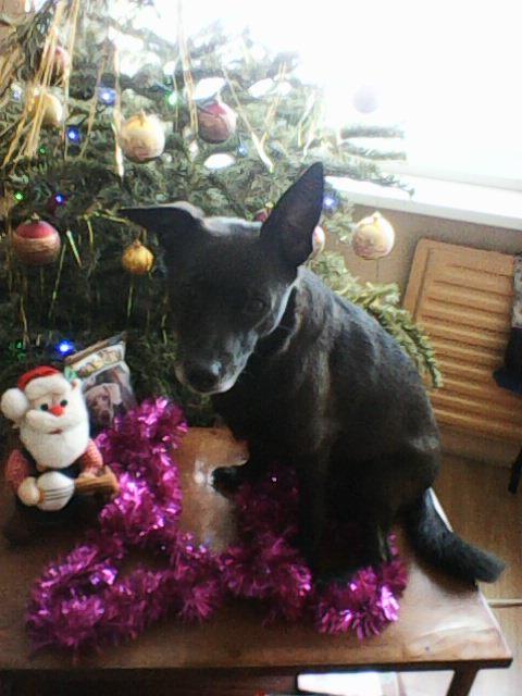 Alma uploaded   86  day/s  ago