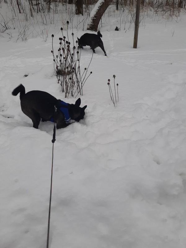 Alma uploaded   86  day/s  ago