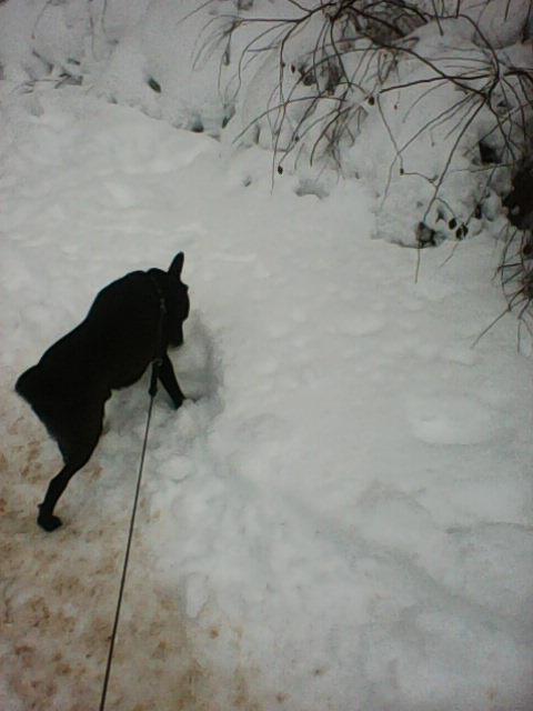 Alma uploaded   86  day/s  ago