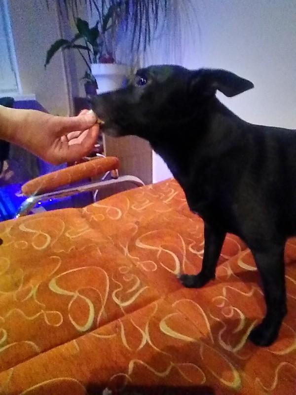 Alma uploaded   86  day/s  ago