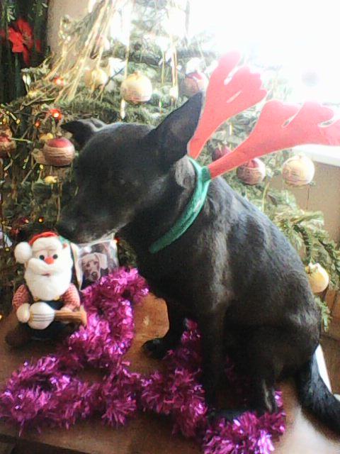 Alma uploaded   86  day/s  ago