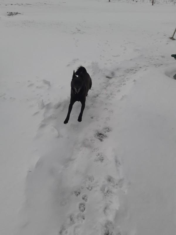 Alma uploaded   86  day/s  ago