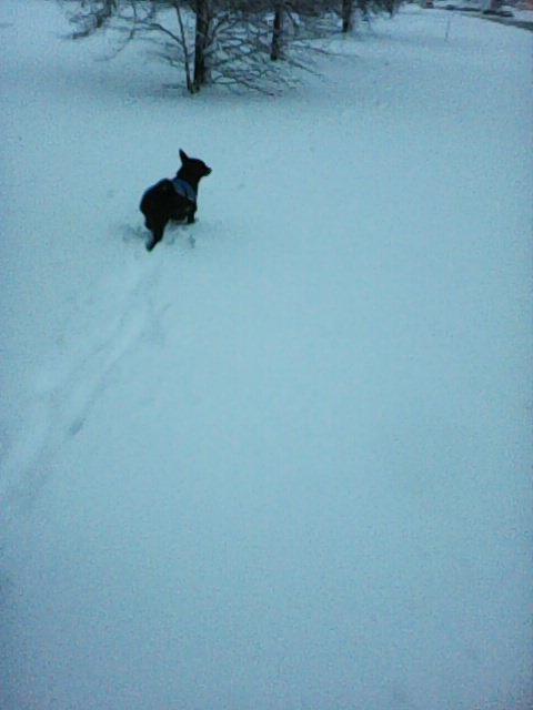 Alma uploaded   86  day/s  ago