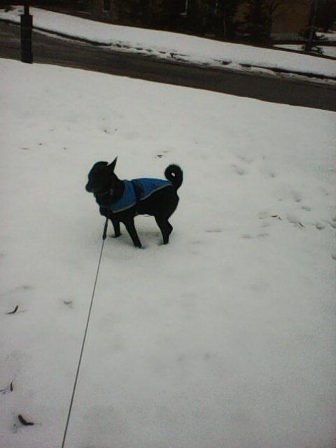 Alma uploaded   86  day/s  ago