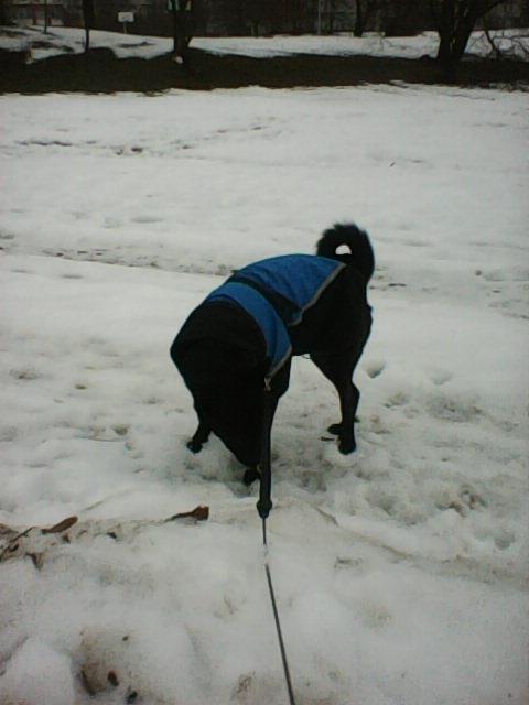 Alma uploaded   86  day/s  ago