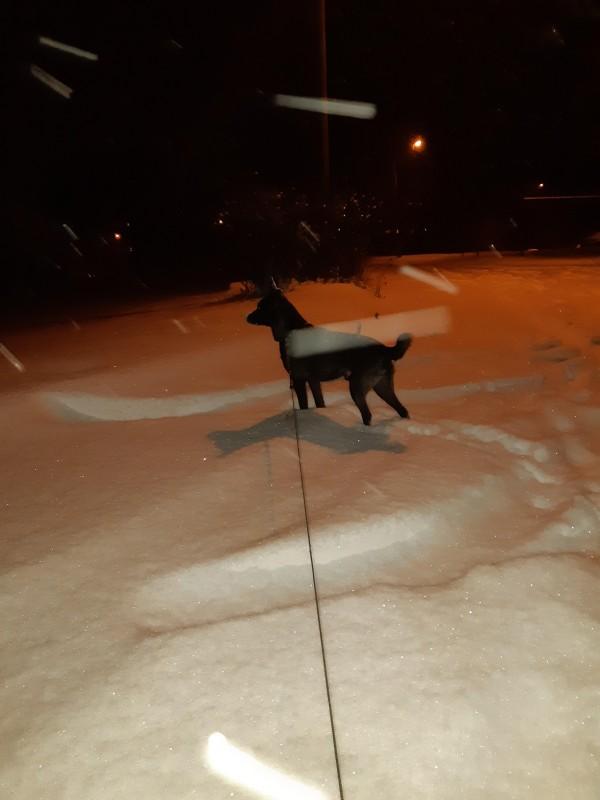 Alma uploaded   86  day/s  ago