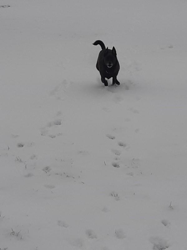 Alma uploaded   86  day/s  ago