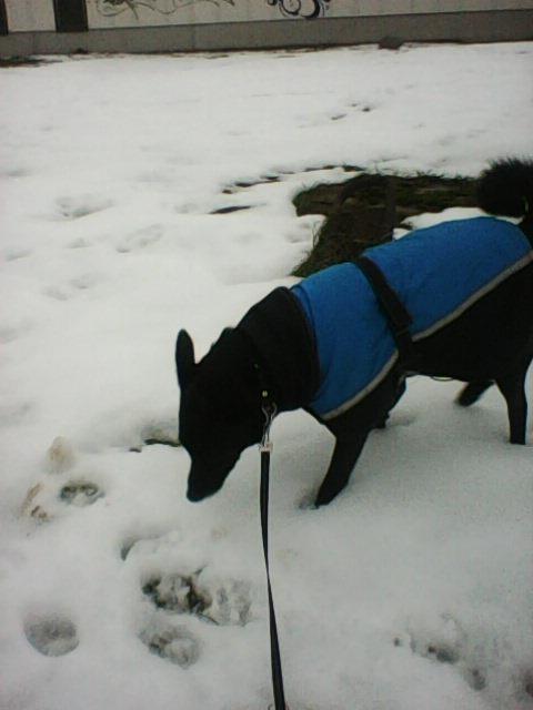 Alma uploaded   86  day/s  ago