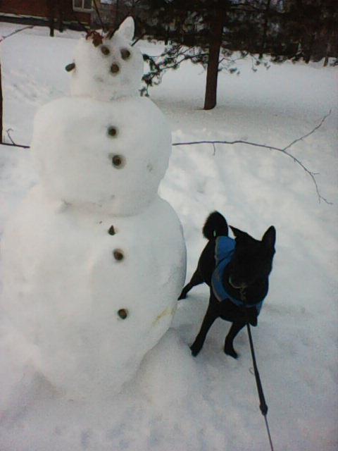 Alma uploaded   86  day/s  ago