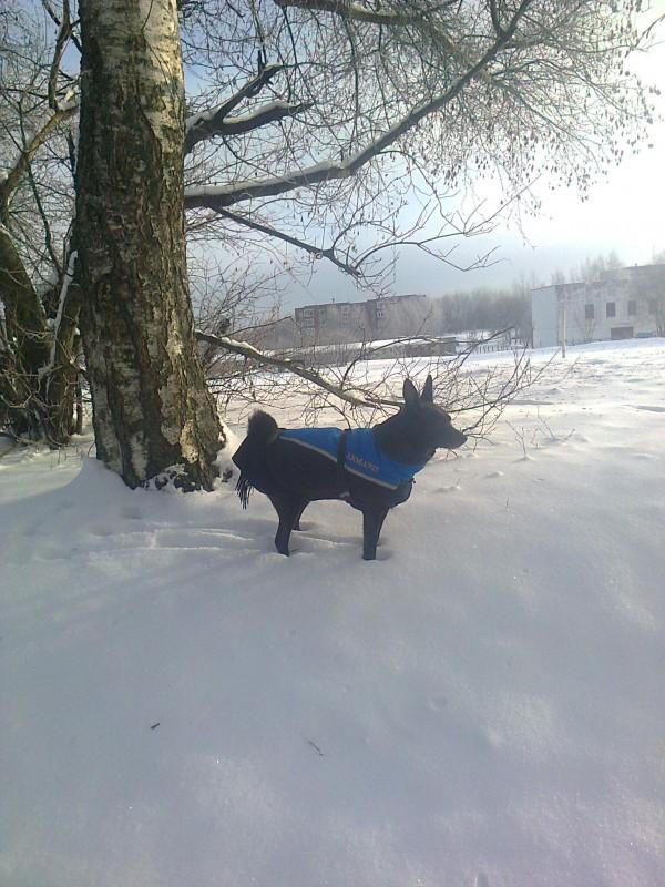 Alma uploaded   86  day/s  ago