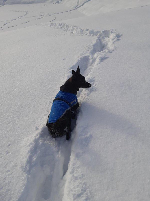 Alma uploaded   86  day/s  ago