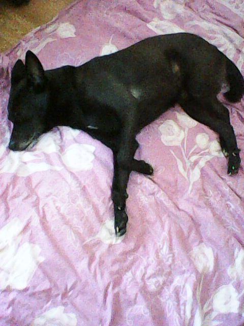 Alma uploaded   86  day/s  ago