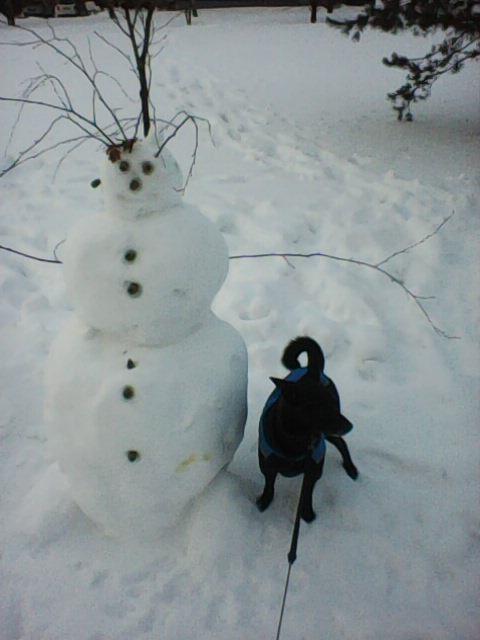 Alma uploaded   86  day/s  ago