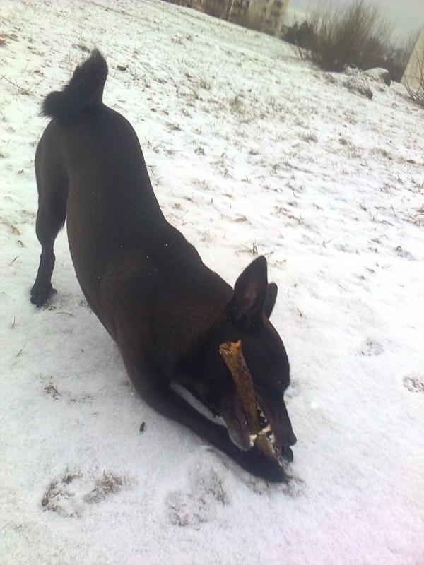 Alma uploaded   86  day/s  ago