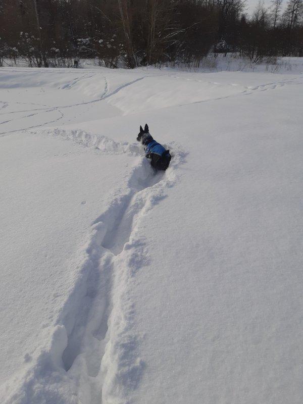 Alma uploaded   86  day/s  ago