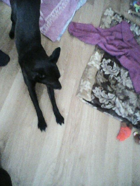 Alma uploaded   86  day/s  ago