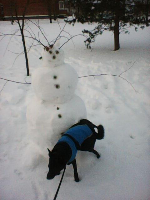 Alma uploaded   86  day/s  ago