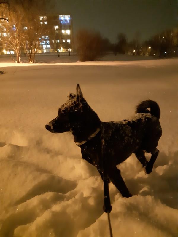 Alma uploaded   86  day/s  ago