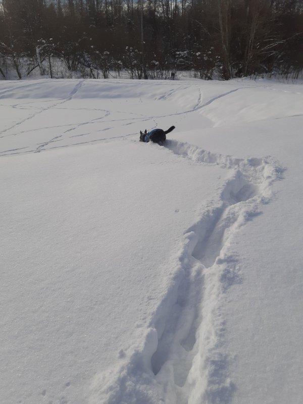 Alma uploaded   86  day/s  ago