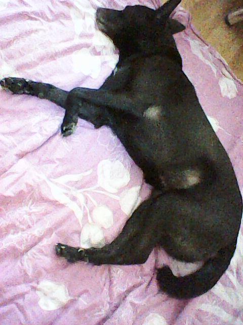 Alma uploaded   86  day/s  ago