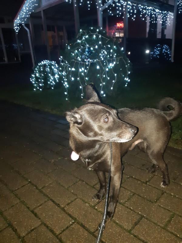 Alma uploaded   86  day/s  ago