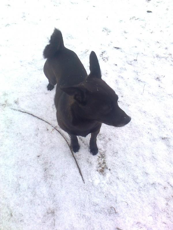 Alma uploaded   86  day/s  ago