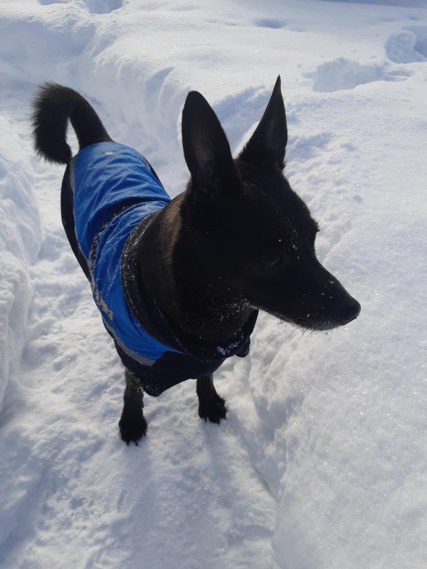 Alma uploaded   86  day/s  ago