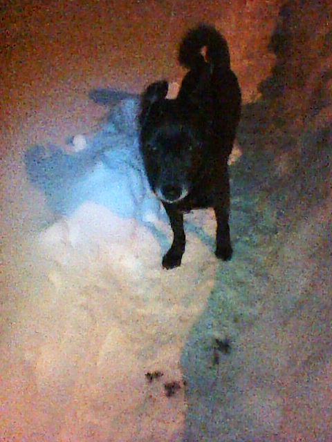 Alma uploaded   86  day/s  ago