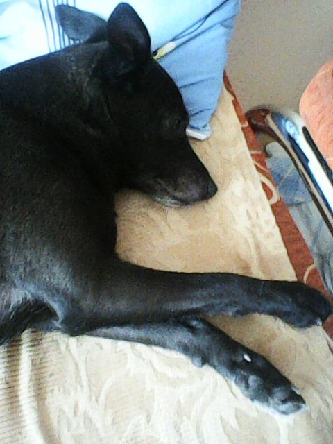 Alma uploaded   86  day/s  ago