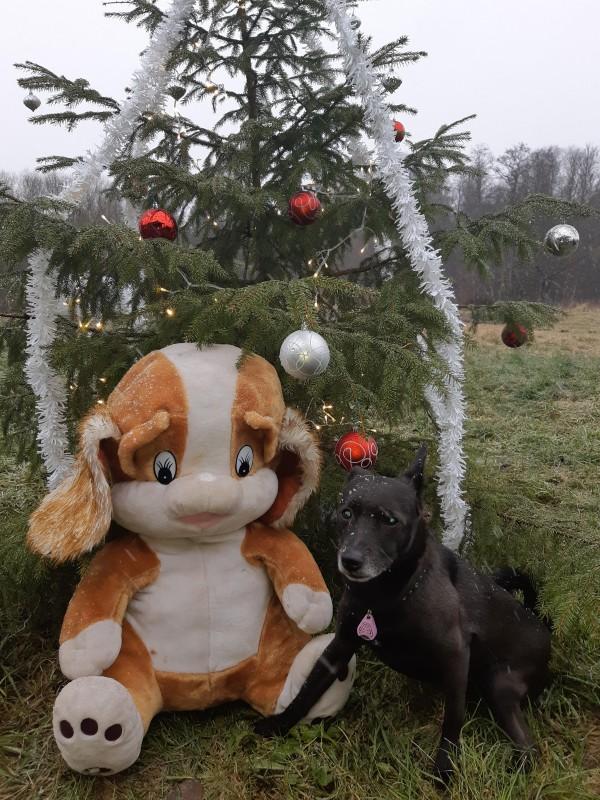 Alma uploaded   86  day/s  ago