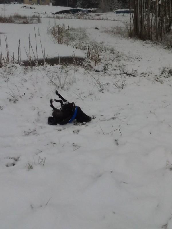 Alma uploaded   86  day/s  ago