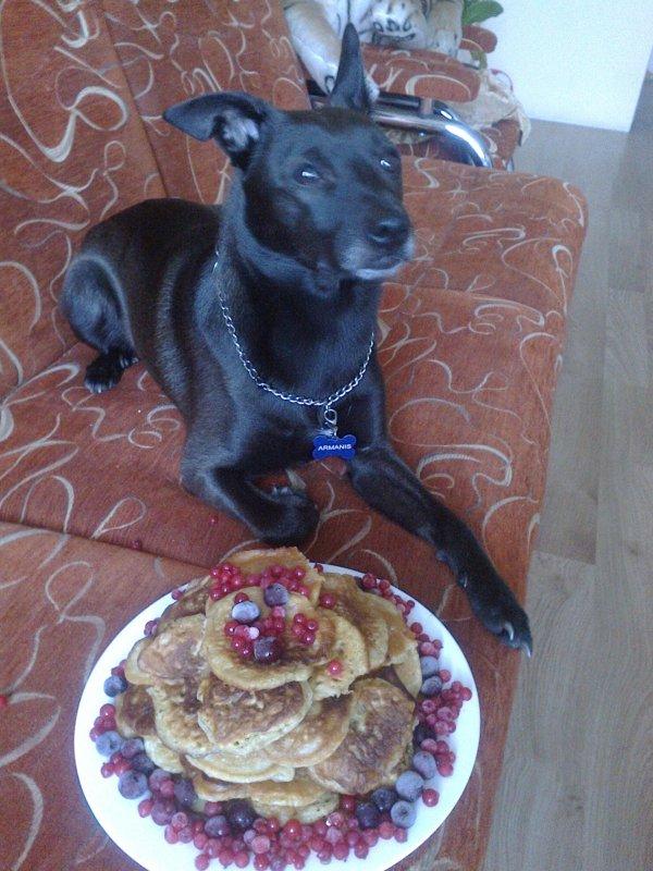 Alma uploaded   86  day/s  ago