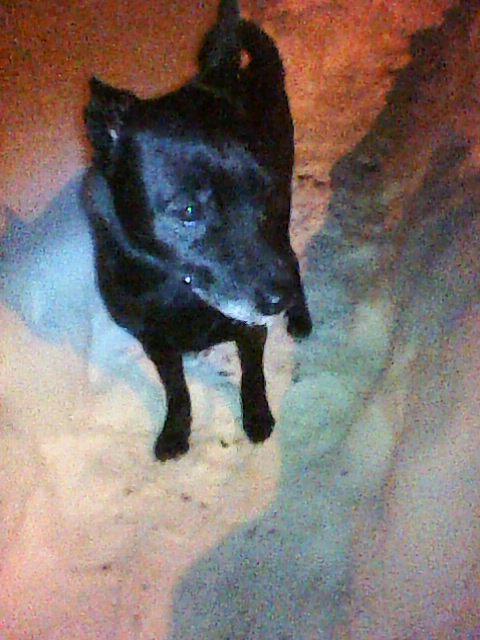 Alma uploaded   86  day/s  ago