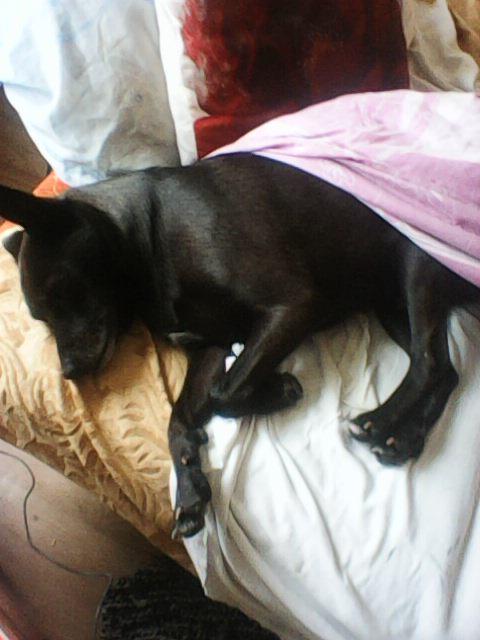 Alma uploaded   86  day/s  ago