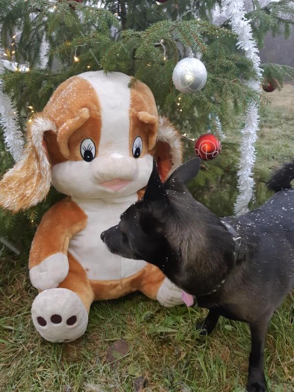 Alma uploaded   86  day/s  ago