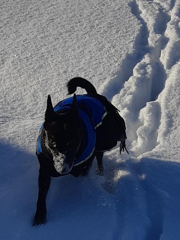 Alma uploaded   86  day/s  ago