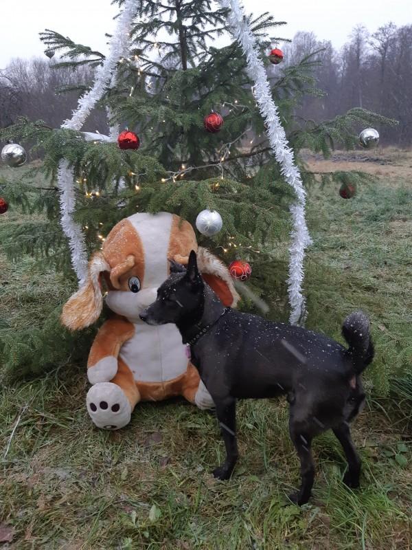 Alma uploaded   86  day/s  ago